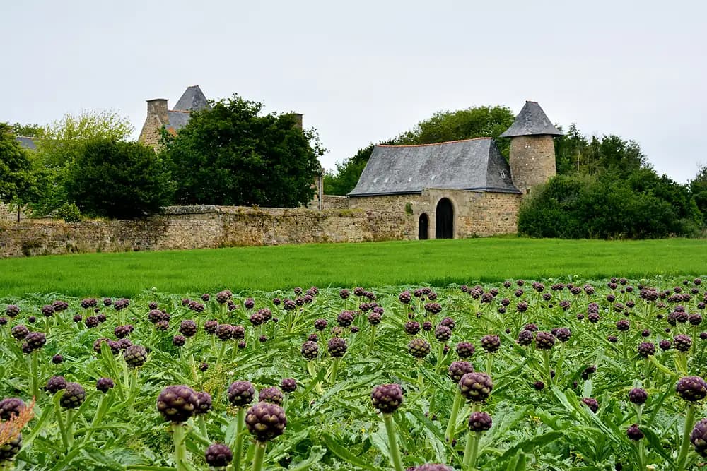 photo de fermes
